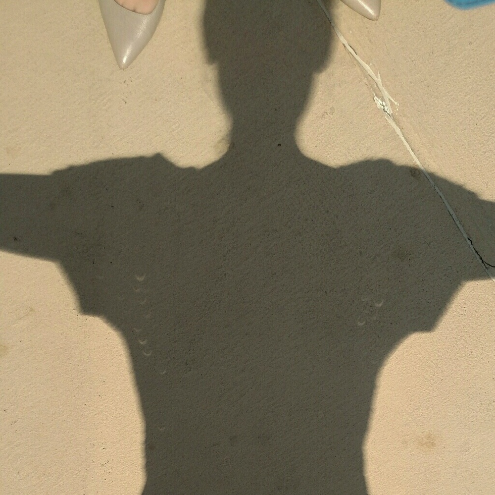 Meet your Posher, Holly